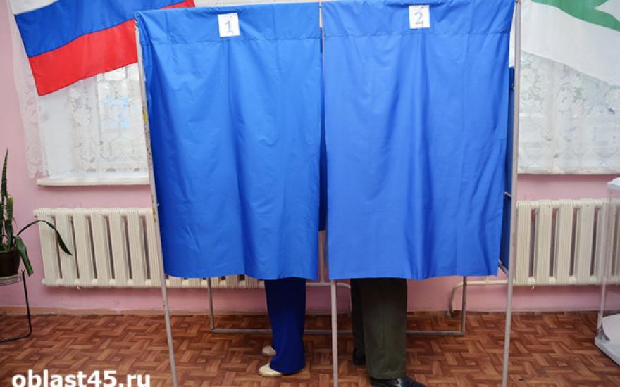 В Курганской области стартовали выборы депутатов