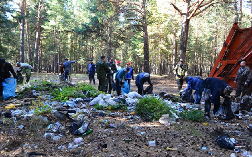 Зауральцы очистили лес от мусора