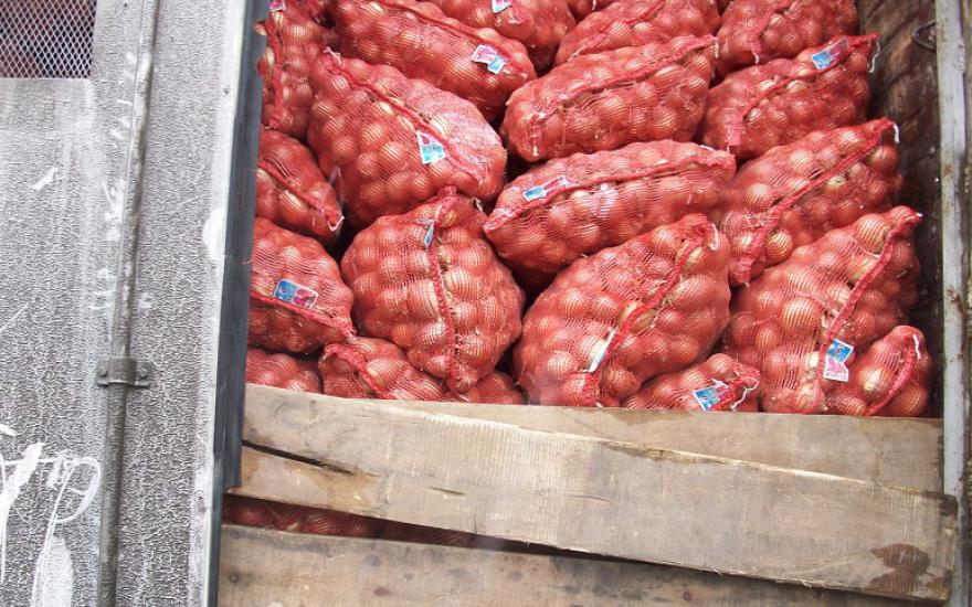 В Курганскую область не попали тонны овощей