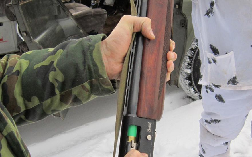 В Зауралье жители Екатеринбурга застрелили лося. Браконьеров нашли по рациям