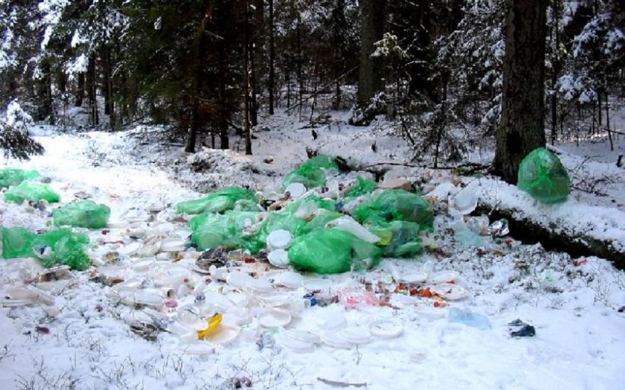 В Каргапольском районе местные власти не вывозили мусор