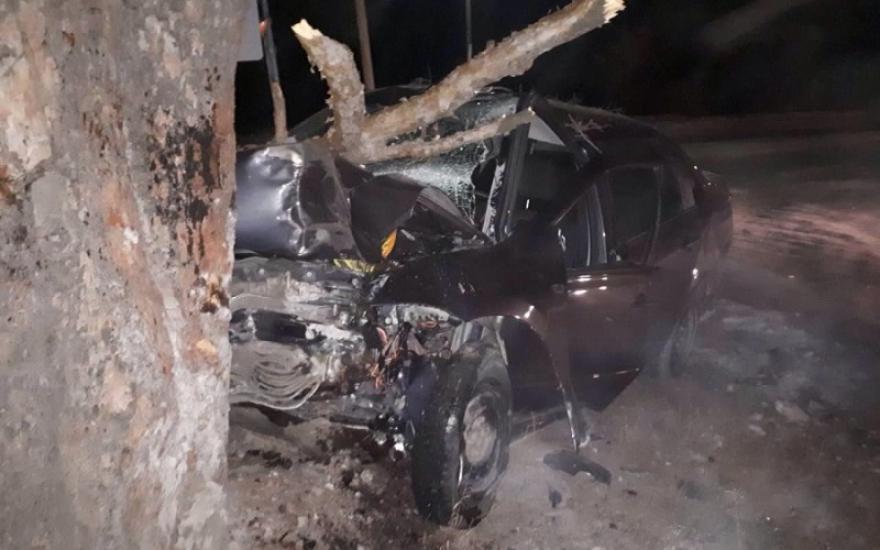 В Зауралье водитель легковушки врезался в дерево и погиб