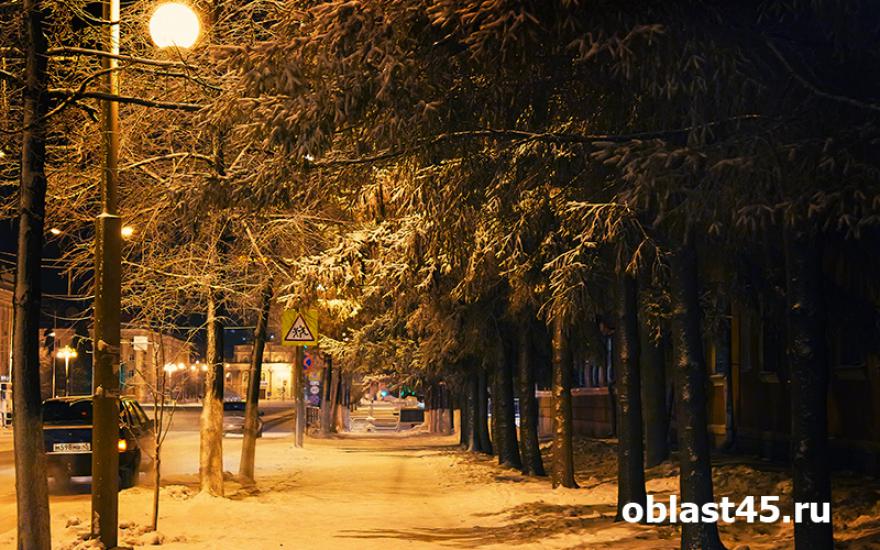 Курганские улицы осветят за 4 миллиона рублей