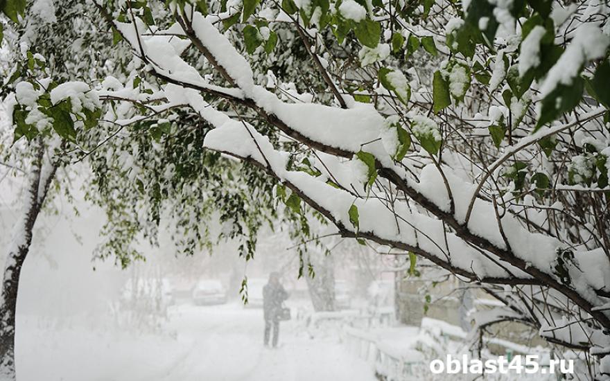 С понедельника в Зауралье ожидаются гололед и снежные заносы