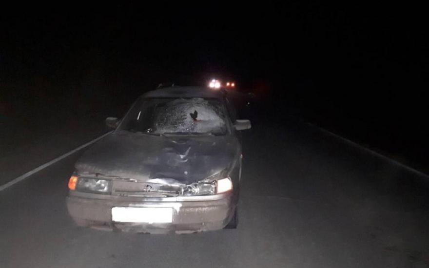 В Курганской области под колесами погибли два пешехода