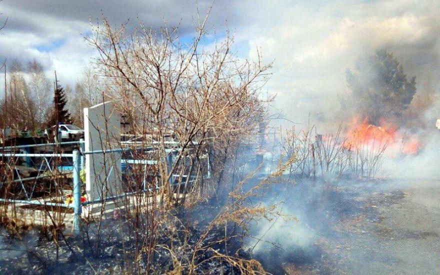 В Кургане горело кладбище в Зайково