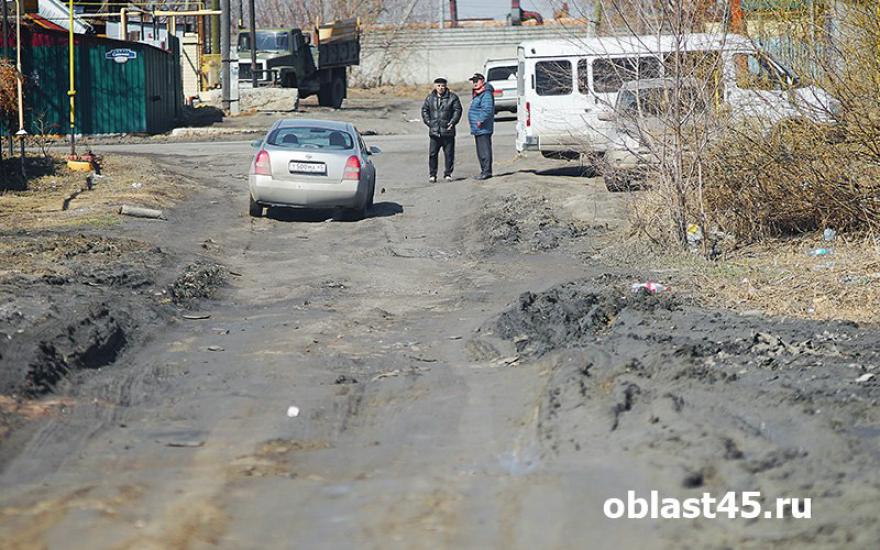 «Машины скребут дном, дети ходят по колено в грязи». Активисты ОНФ проверили дороги.