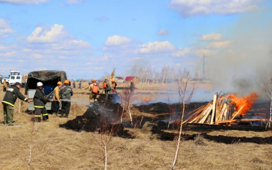 Зауральские спасатели тушили крупный лесной пожар, который устроили сами.
