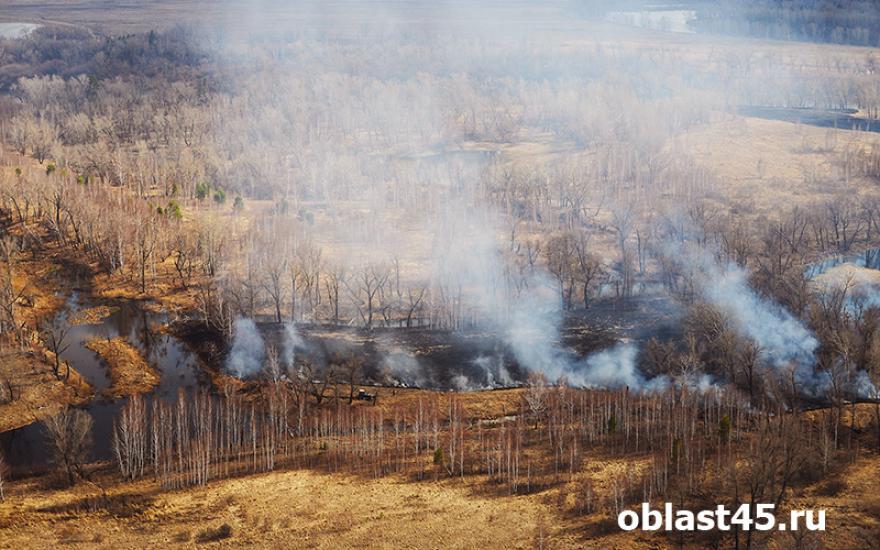 В Курганской области горят леса и сухая трава.
