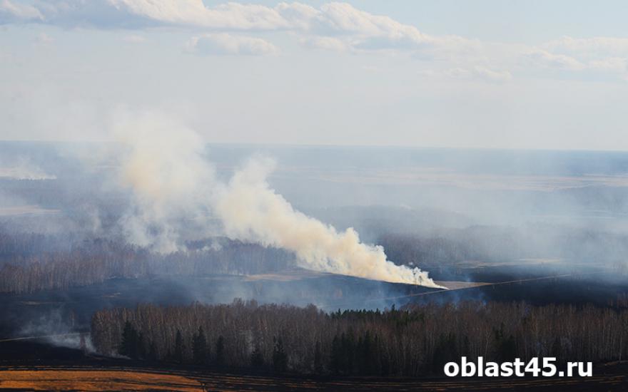 В Курганской области за выходные выгорело 8 тысяч гектаров степей.
