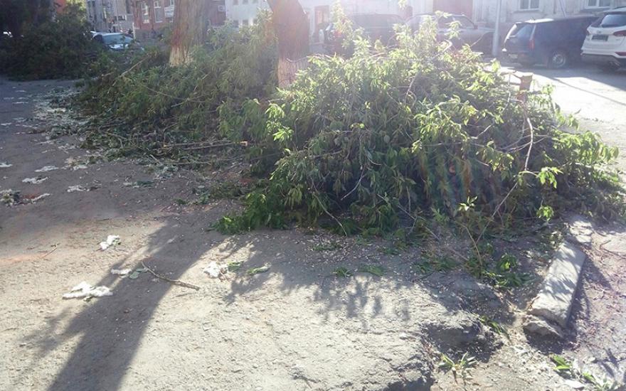В Кургане вдоль центральной улицы спилили деревья