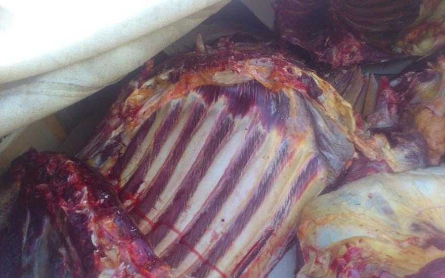В Курган пытались ввести 150 килограммов подозрительного мяса