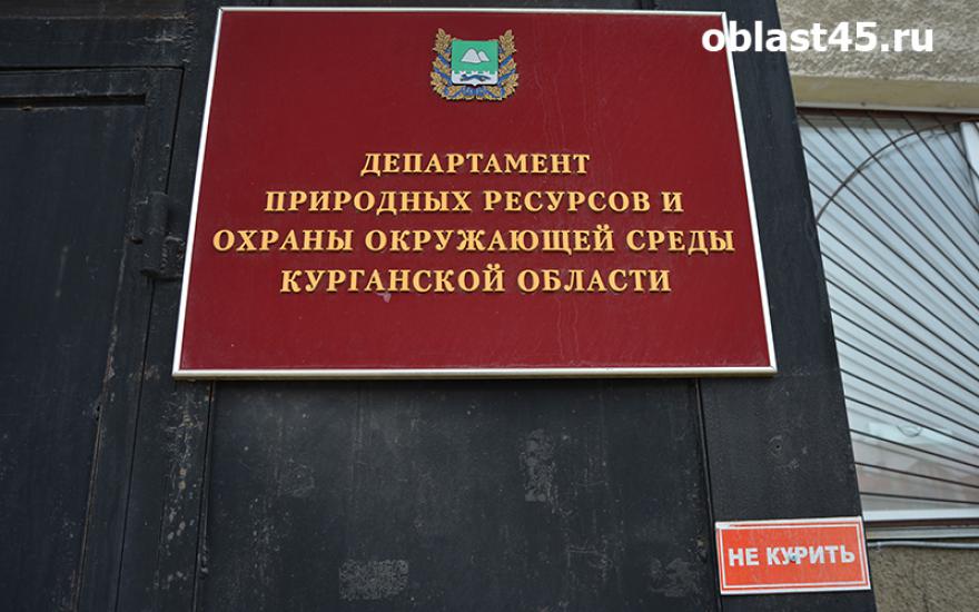 Зауральских чиновников наказали за вырубку деревьев в памятнике природы «Кировский бор»