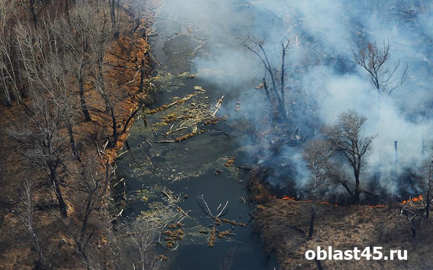 В Курганской области возможны лесные пожары