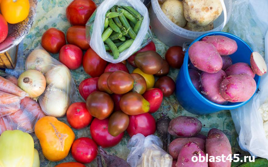 В Курганскую область пытались ввести 500 килограммов подозрительных овощей и фруктов