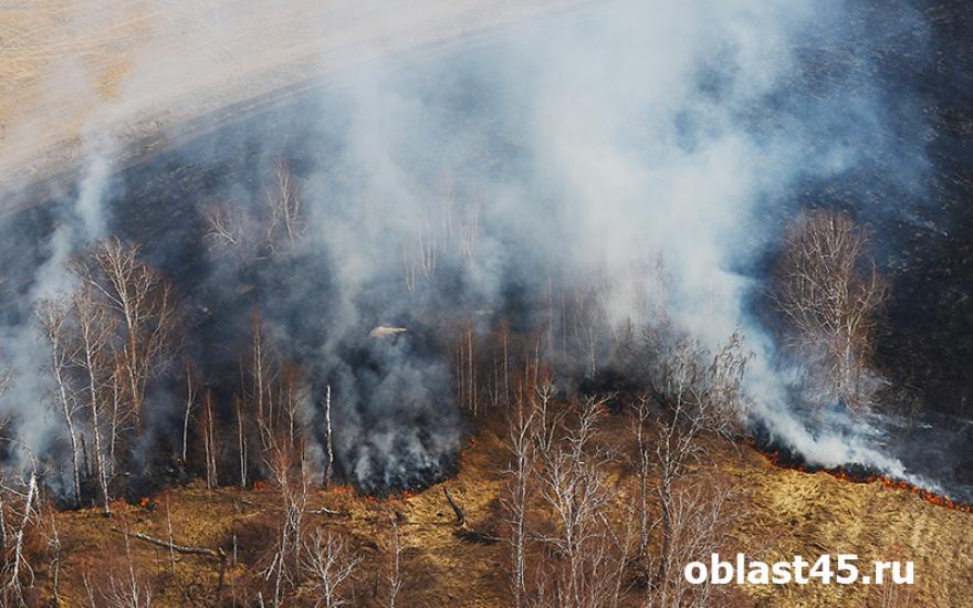 Зауральцы заплатят 11 миллионов рублей за неисполнение противопожарных требований