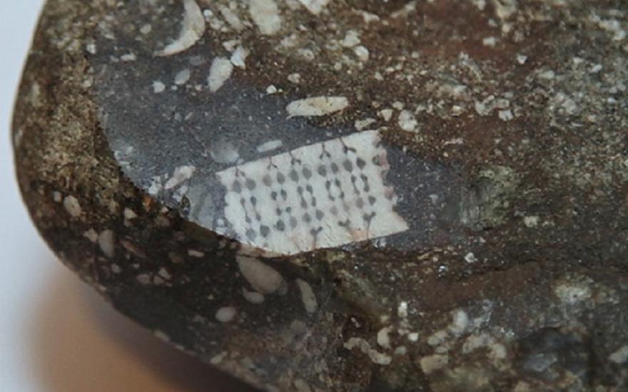 Послание внеземной цивилизации? Россиянин обнаружил камень с «микрочипом»