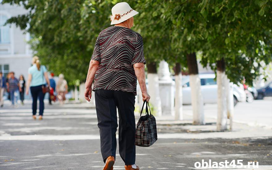 ЦИК одобрила вопросы для референдума о пенсионном возрасте