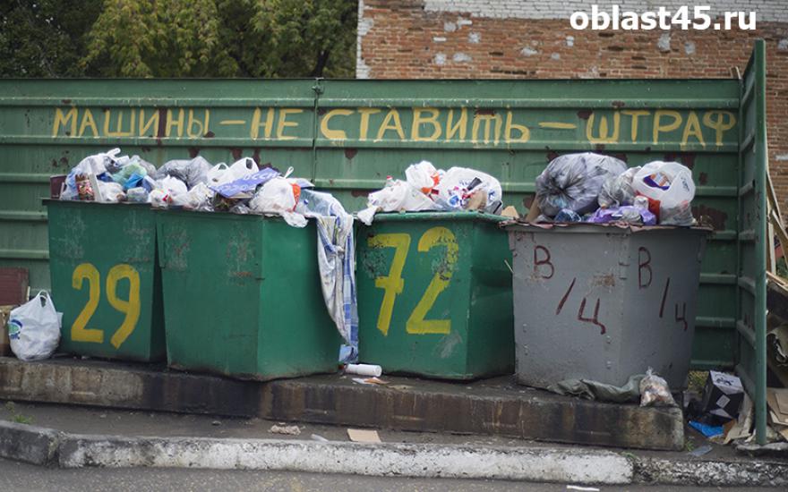 За мусором в России будет следить единый оператор