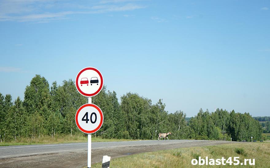 В России появятся дорожные знаки, которые автоматически будут менять скоростной режим