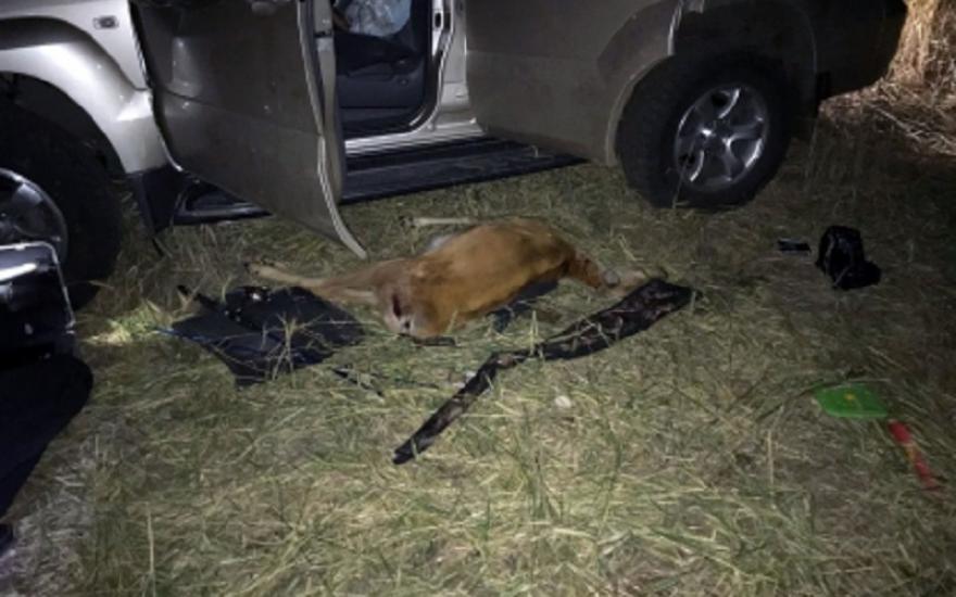 Силовик из Челябинской области погиб в Зауралье во время браконьерской охоты