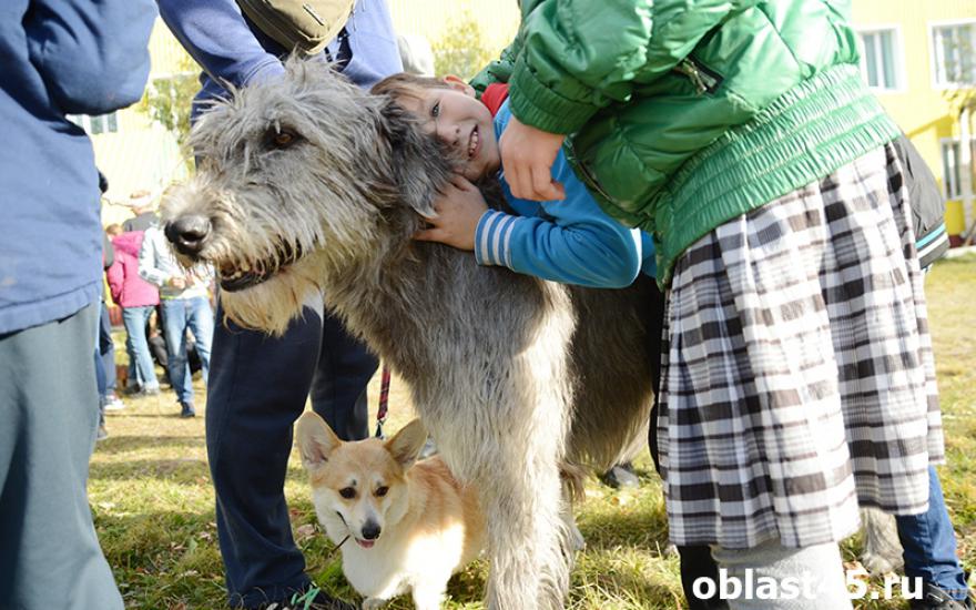 В Зауралье воспитанников дома-интерната лечат общением с собаками