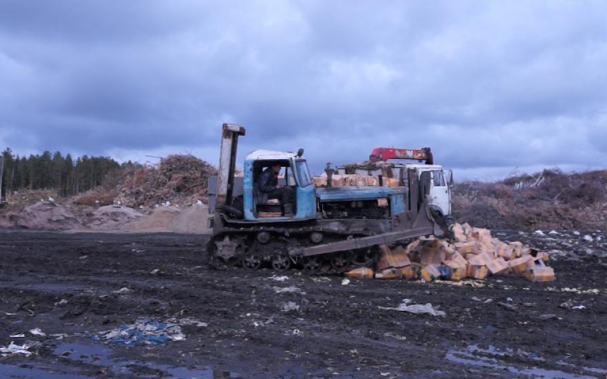 В Зауралье уничтожили 20 тонн насвая, который хотели провезти под видом фасоли