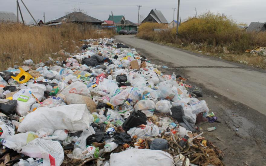 В Кургане активисты ОНФ обнаружили крупные свалки мусора