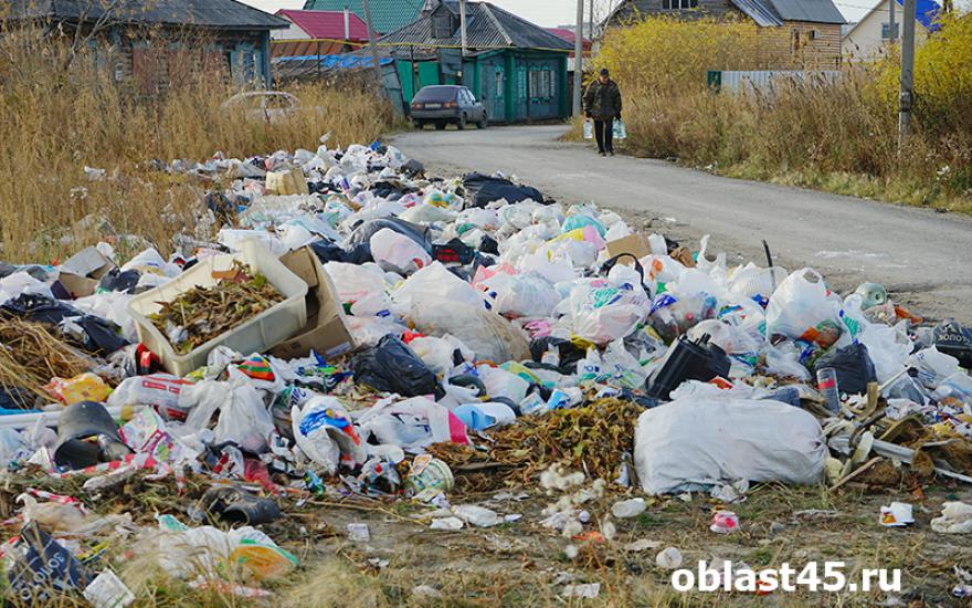 В Кургане крупные свалки мусора наносят ущерб экологии и городской казне