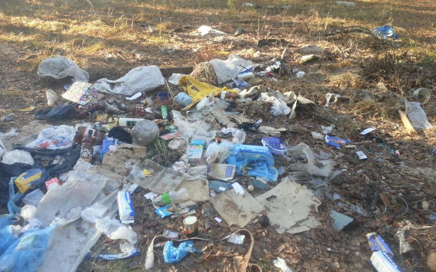 Курганцев возмутили горы мусора в лесу
