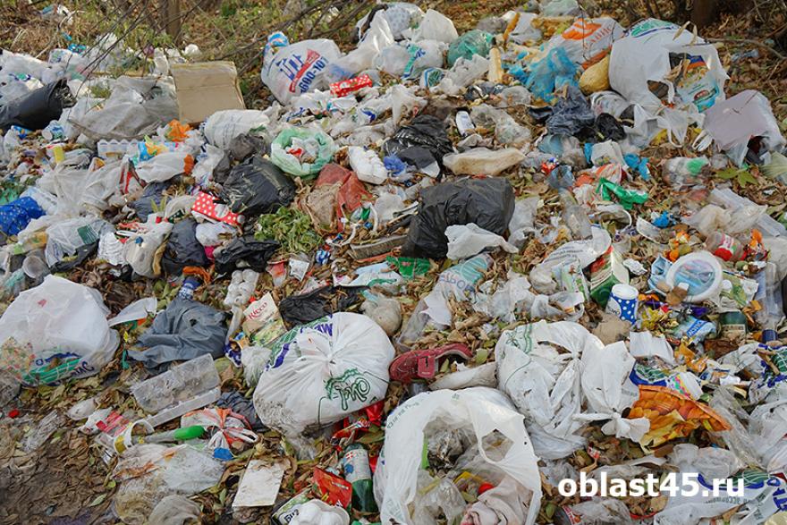 Жителей Зауралья в уходящем году волновали цены за вывоз мусора и отсутствие специальных площадок