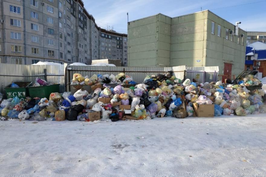 Переполненные контейнеры и разбросанные отходы: общественники Зауралья проверили уборку мусора 