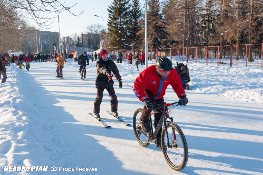 Курганские моржи обливались водой в парке, а велосипедисты возили лыжников 