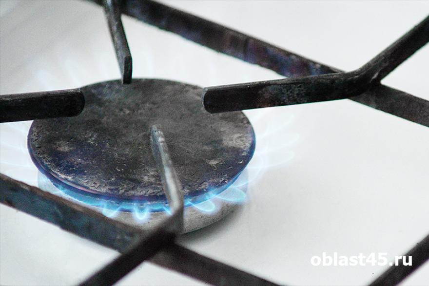 «Газ требует грамотного обслуживания». Курганцы выбирают между газовыми и электроплитами 