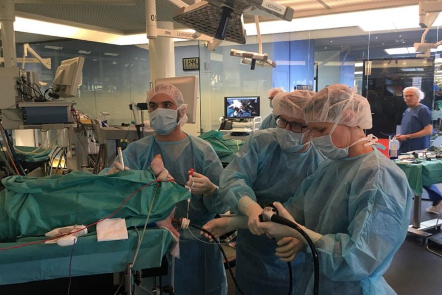 Ветеринар из Кургана обучил навыкам эндохирургии европейских коллег