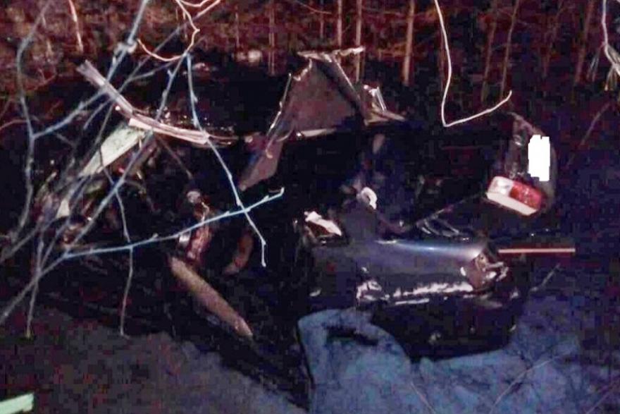 В Кетовском районе водитель иномарки врезался в дерево и погиб 