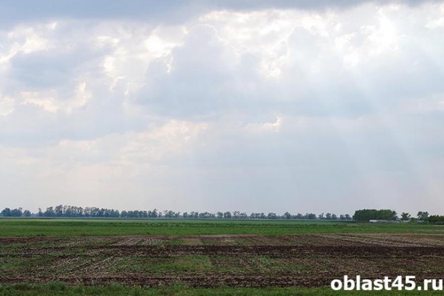 Зауралье получит 18 млн рублей на развитие сельского хозяйства