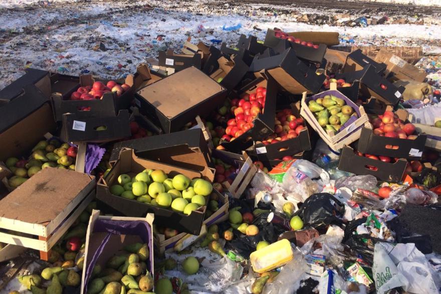 В Кургане уничтожили санкционные фрукты