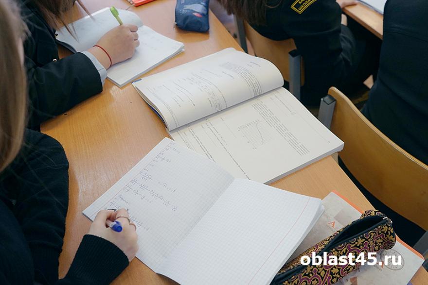 Курганский десятиклассник победил на всероссийской олимпиаде по математике 