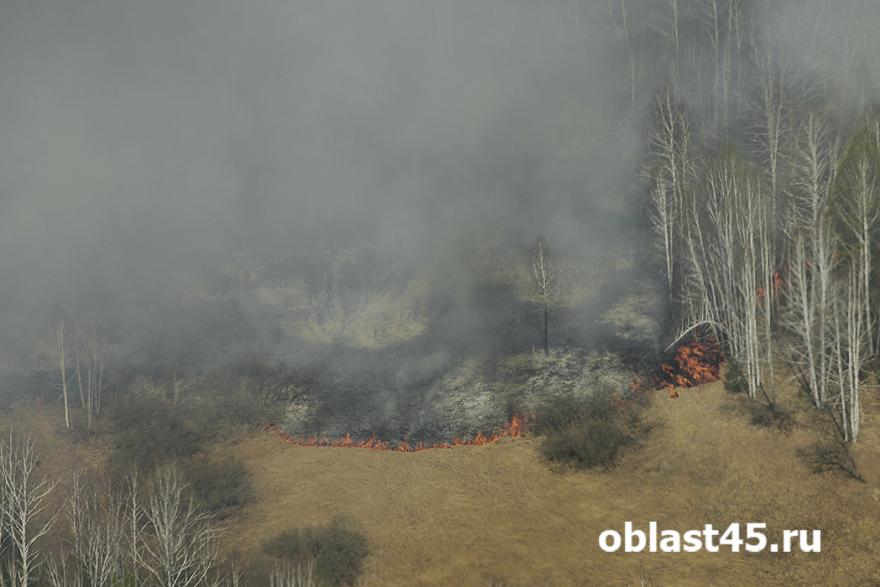 В Курганской области продолжают гореть леса