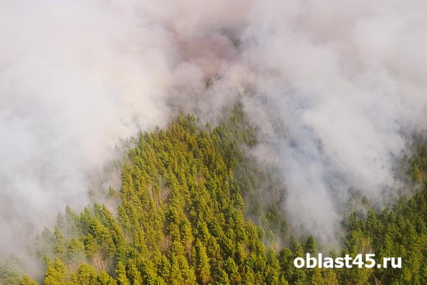Авиаразведка доложила о состоянии лесных пожаров в Курганской области 