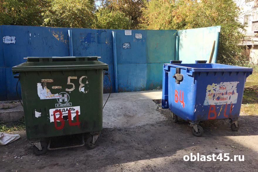 В микрорайонах Кургана, откуда перестали вывозить мусор, поставят временные бункеры