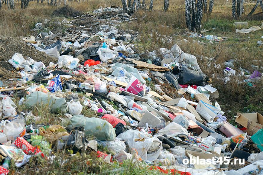 Жители Зауралья смогут сообщить о незаконных свалках мусора экологическому оператору
