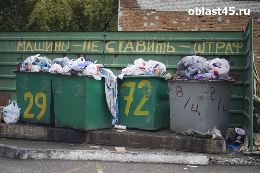 Зауральцы могут пожаловаться на уборку мусора экологическому оператору