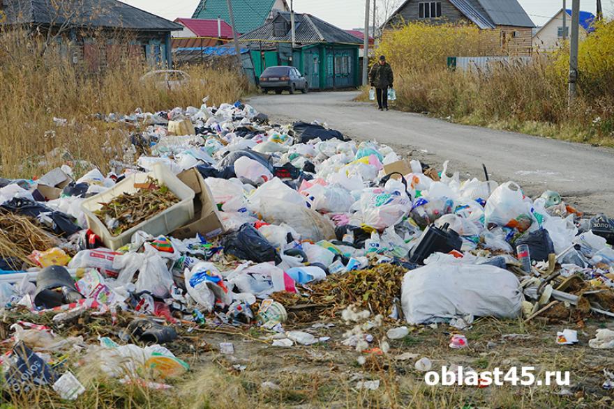 Стало известно, кто будет заниматься вывозом мусора в Курганской области