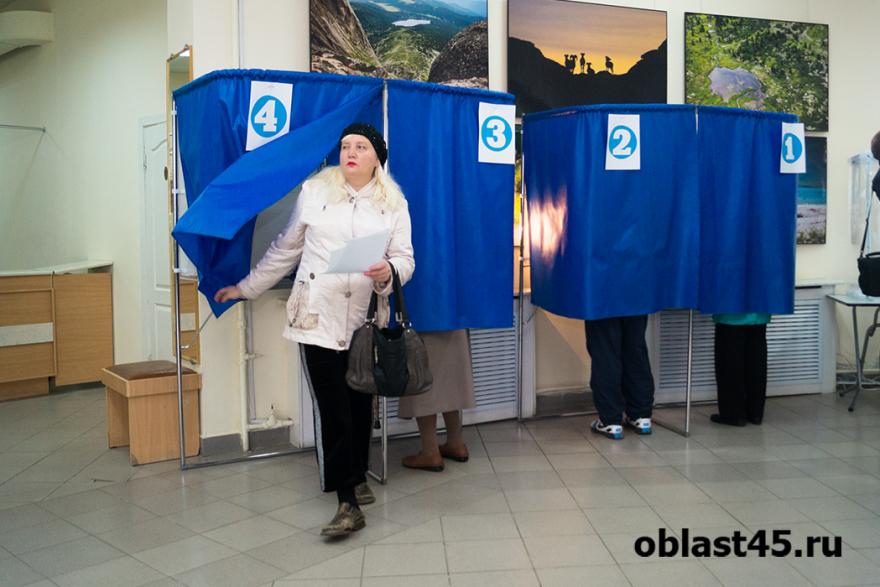 В микрорайоне Рябково активнее всего голосовали люди пожилого возраста