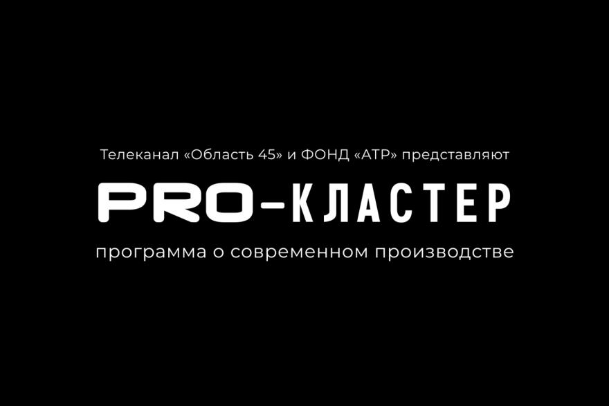 «PRO-кластер»: «Область 45» запускает новый проект 