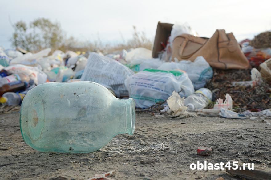 В Зауралье на мусорном полигоне обнаружили нарушения, которые вредят здоровью людей