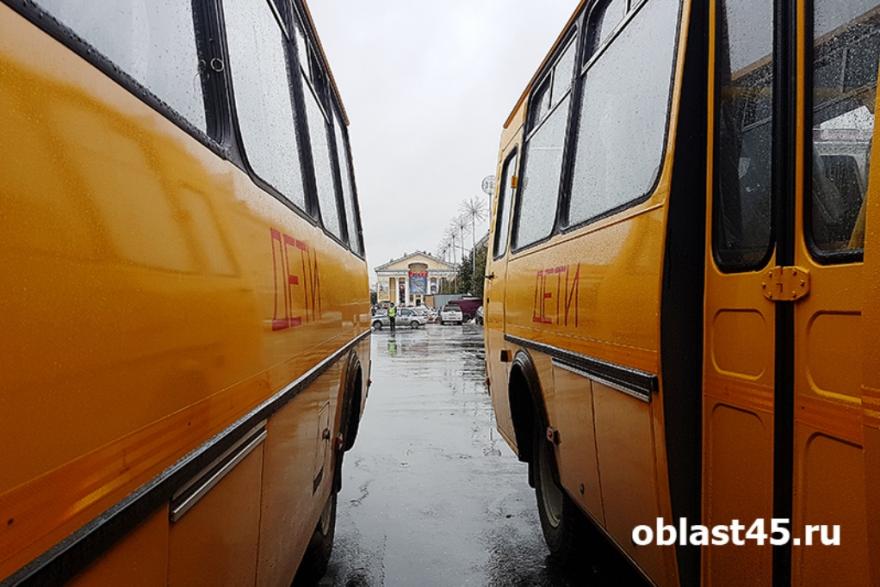 В Курганской области на федеральные деньги купят школьные автобусы 