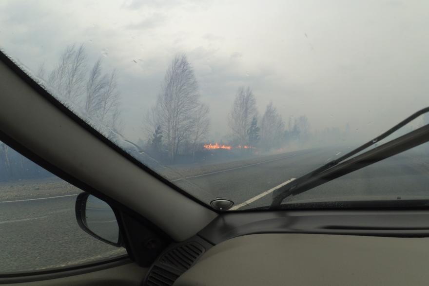 В Кетовском районе вновь горят леса. Крупный пожар тушат 78 человек